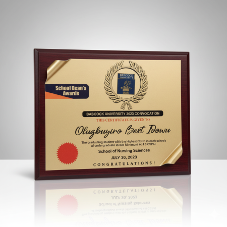 Premium Plaque Award